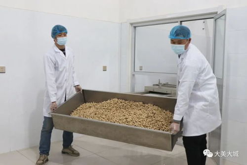 大城縣小微企業(yè)轉(zhuǎn)型初探 專注舌尖上的品質(zhì) 市場調(diào)研